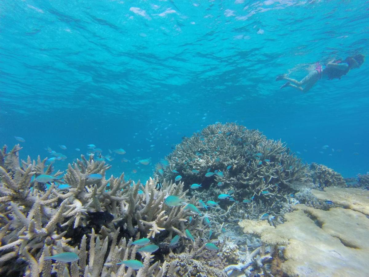 Coral Villa Ukulhas Extérieur photo